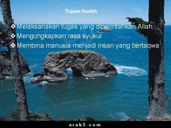 Tujuan Ibadah v Melaksanakan tugas yang diperintahkan Allah v Mengungkapkan rasa syukur v Membina