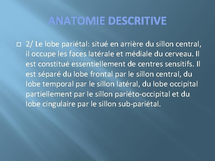 ANATOMIE DESCRITIVE 2/ Le lobe pariétal: situé en arrière du sillon central, il occupe