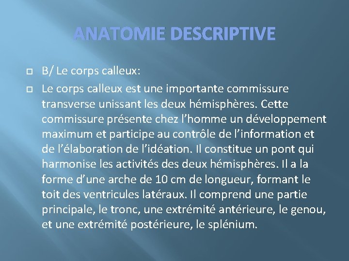 ANATOMIE DESCRIPTIVE B/ Le corps calleux: Le corps calleux est une importante commissure transverse