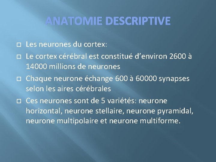 ANATOMIE DESCRIPTIVE Les neurones du cortex: Le cortex cérébral est constitué d’environ 2600 à