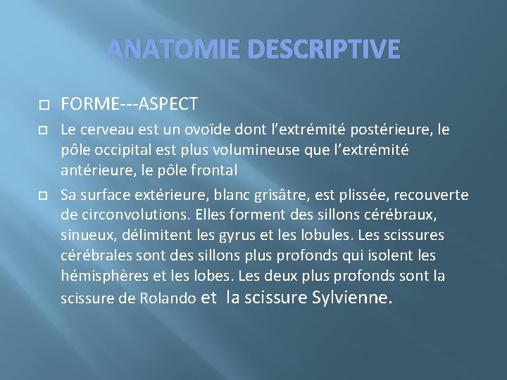 ANATOMIE DESCRIPTIVE FORME---ASPECT Le cerveau est un ovoïde dont l’extrémité postérieure, le pôle occipital
