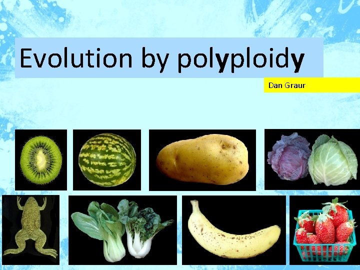 Evolution by polyploidy Dan Graur 