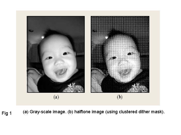 Fig 1 (a) Gray-scale image. (b) halftone image (using clustered dither mask). 