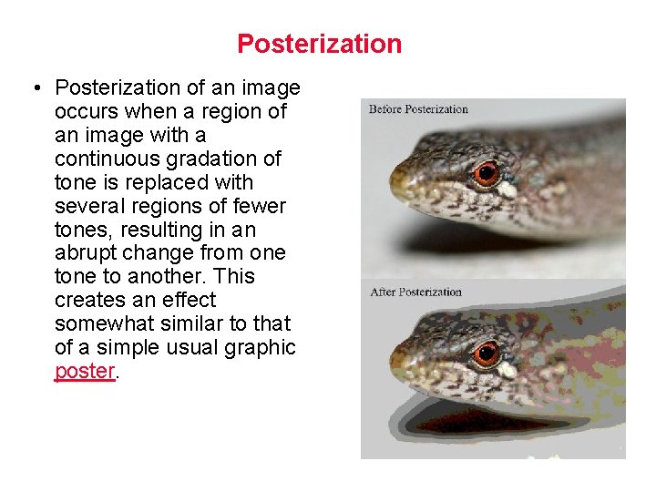 Posterization • Posterization of an image occurs when a region of an image with