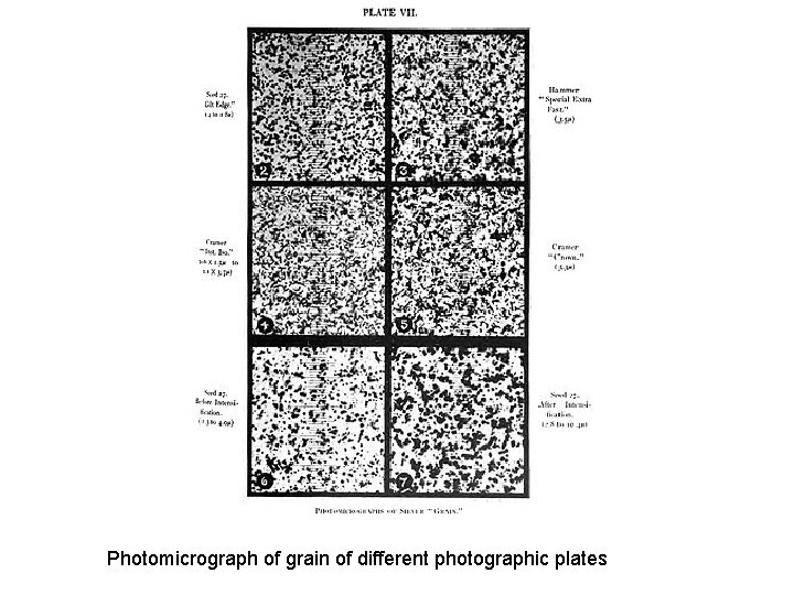 Photomicrograph of grain of different photographic plates 