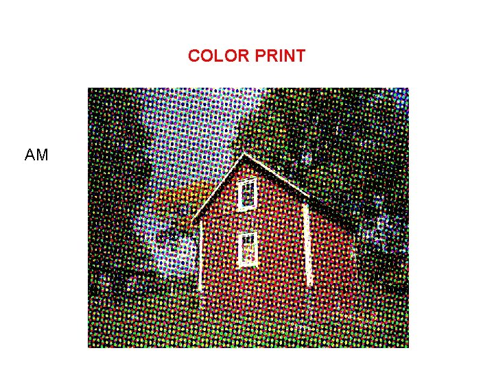 COLOR PRINT AM 