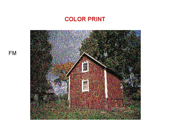 COLOR PRINT FM 