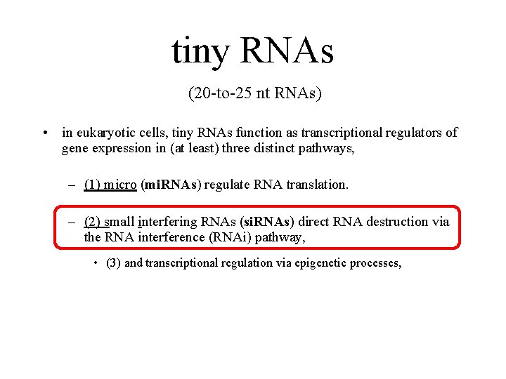 tiny RNAs (20 -to-25 nt RNAs) • in eukaryotic cells, tiny RNAs function as