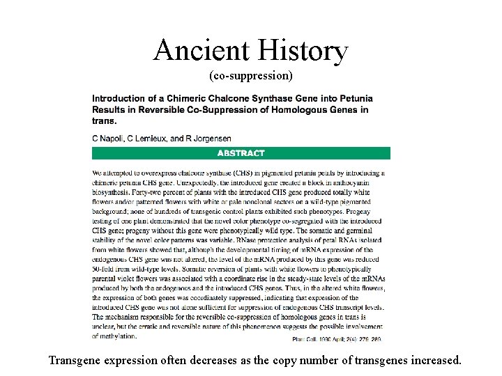 Ancient History (co-suppression) Transgene expression often decreases as the copy number of transgenes increased.