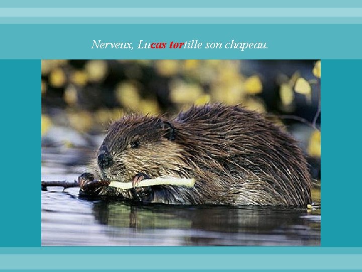 Nerveux, Lucas tortille son chapeau. 