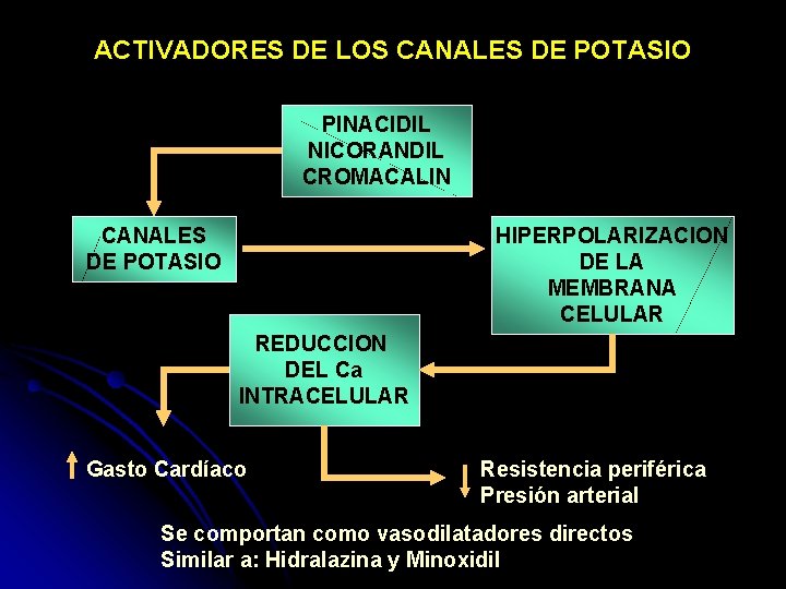 ACTIVADORES DE LOS CANALES DE POTASIO PINACIDIL NICORANDIL CROMACALIN CANALES DE POTASIO HIPERPOLARIZACION DE