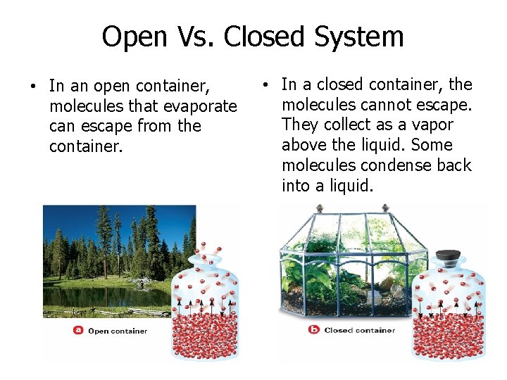 Open Vs. Closed System • In an open container, molecules that evaporate can escape