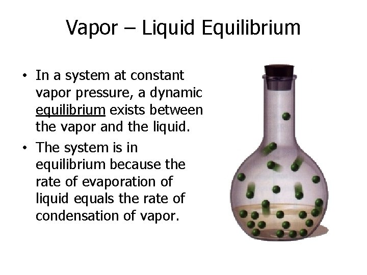 Vapor – Liquid Equilibrium • In a system at constant vapor pressure, a dynamic