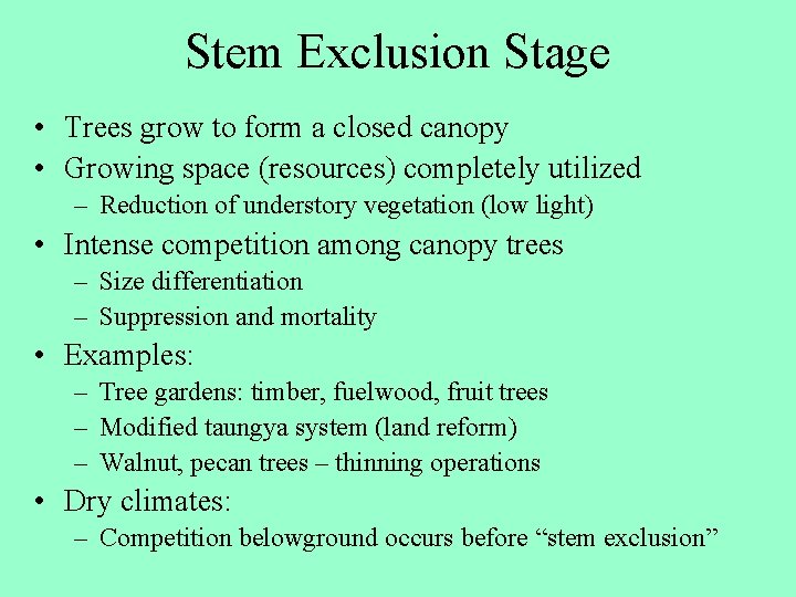 Stem Exclusion Stage • Trees grow to form a closed canopy • Growing space