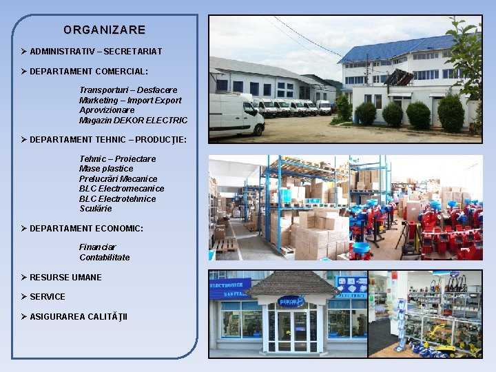 ORGANIZARE Ø ADMINISTRATIV – SECRETARIAT Ø DEPARTAMENT COMERCIAL: Transporturi – Desfacere Marketing – Import