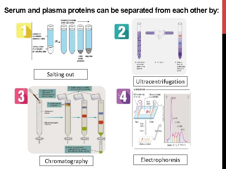 Serum and plasma proteins can be separated from each other by: Salting out Chromatography