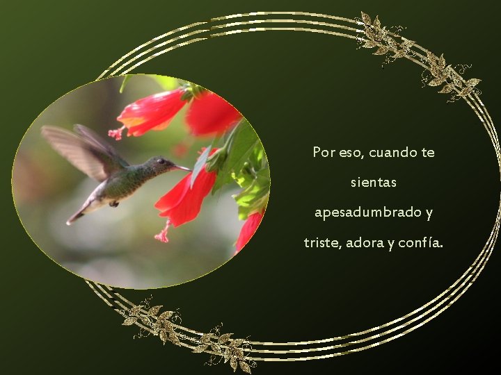 Por eso, cuando te sientas apesadumbrado y triste, adora y confía. 