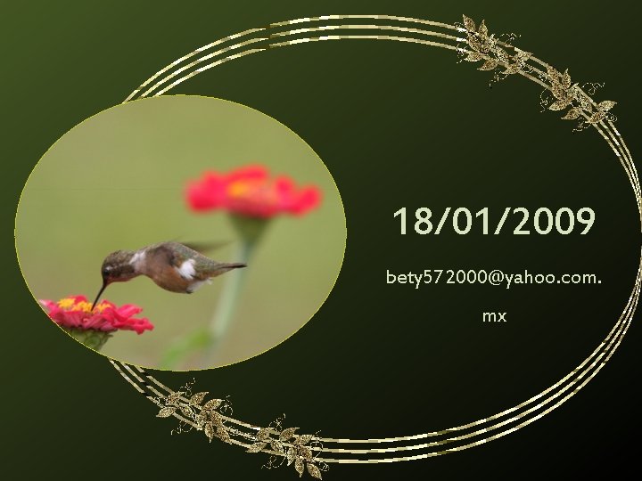 18/01/2009 bety 572000@yahoo. com. mx 