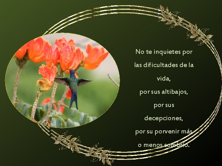 No te inquietes por las dificultades de la vida, por sus altibajos, por sus