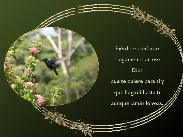 Piérdete confiado ciegamente en ese Dios que te quiere para sí y que llegará