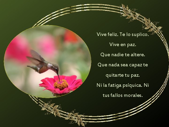 Vive feliz. Te lo suplico. Vive en paz. Que nadie te altere. Que nada