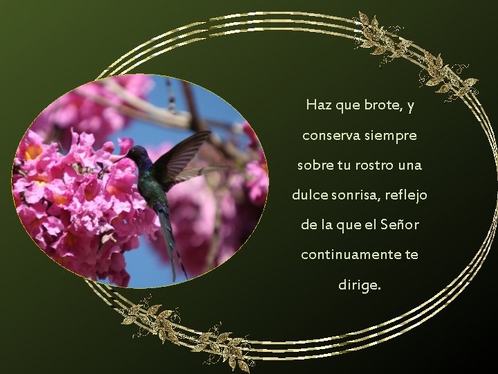 Haz que brote, y conserva siempre sobre tu rostro una dulce sonrisa, reflejo de