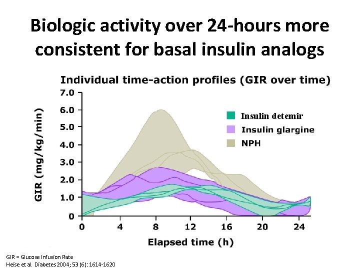 Biologic activity over 24 -hours more consistent for basal insulin analogs Insulin detemir GIR