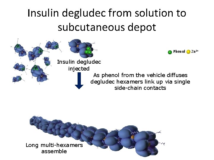 Insulin degludec from solution to subcutaneous depot Phenol Insulin degludec injected As phenol from