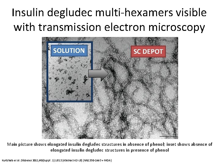 Insulin degludec multi-hexamers visible with transmission electron microscopy SOLUTION SC DEPOT Main picture shows