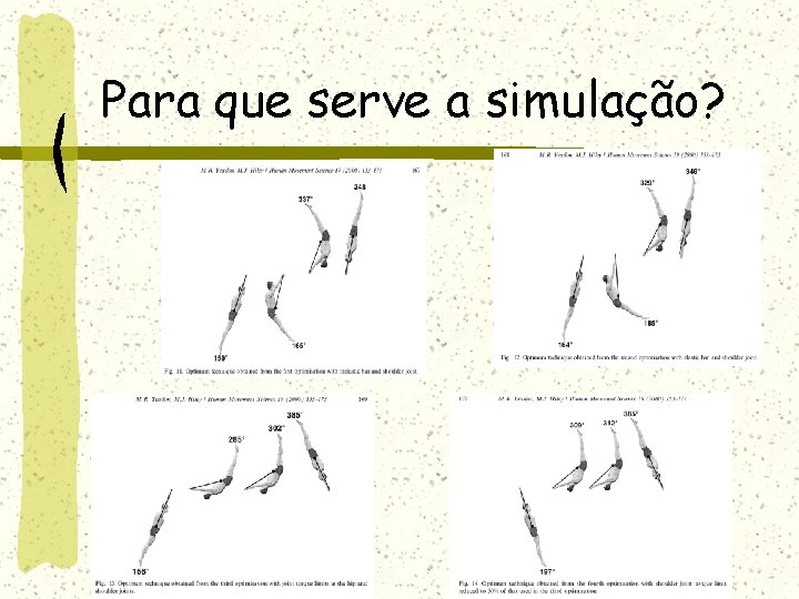 Para que serve a simulação? 