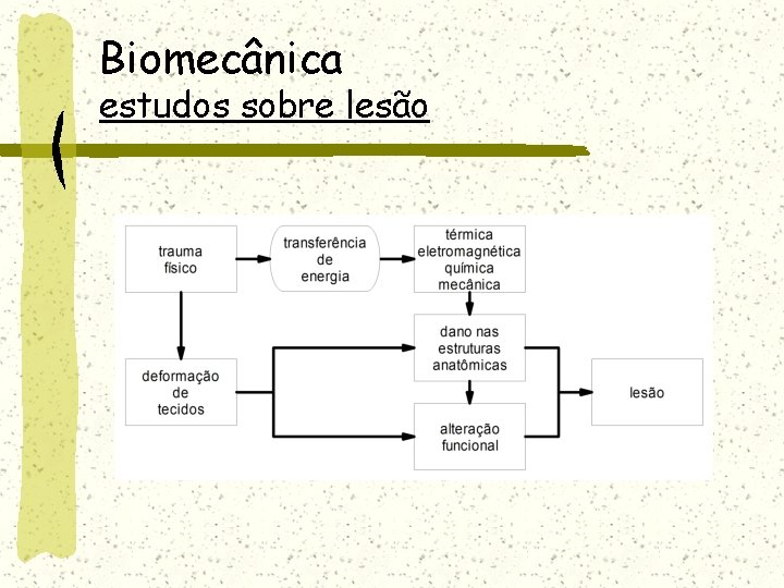 Biomecânica estudos sobre lesão 