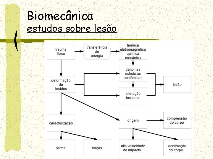 Biomecânica estudos sobre lesão 