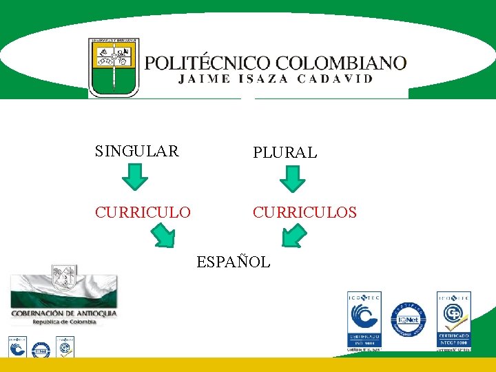 SINGULAR PLURAL CURRICULOS ESPAÑOL 