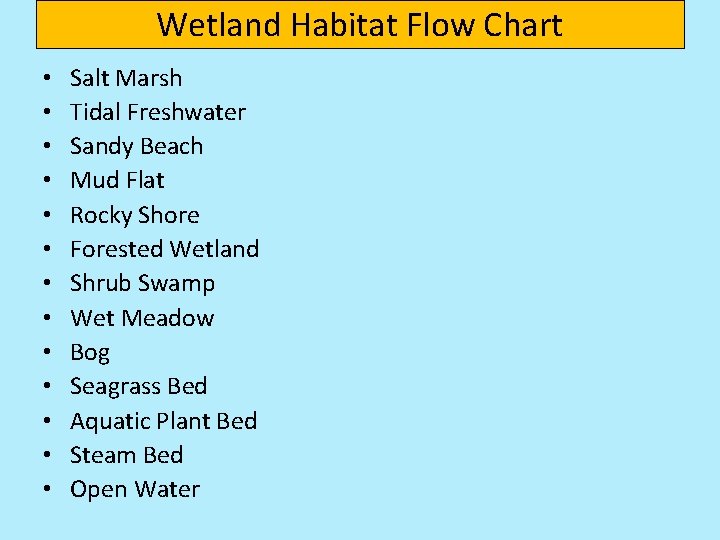 Wetland Habitat Flow Chart • • • • Salt Marsh Tidal Freshwater Sandy Beach