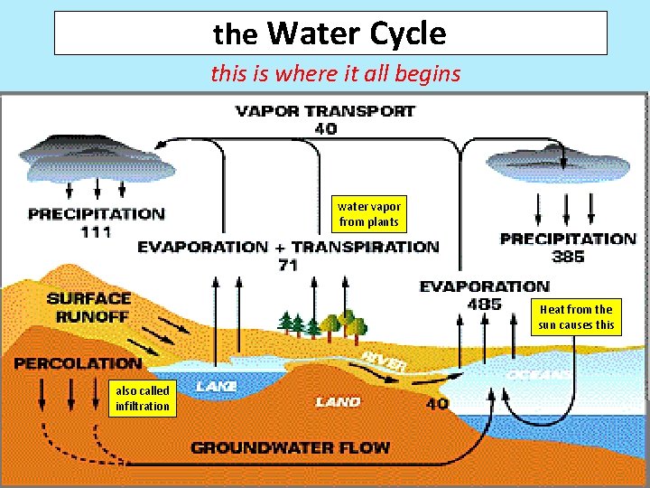 the Water Cycle this is where it all begins water vapor from plants Heat