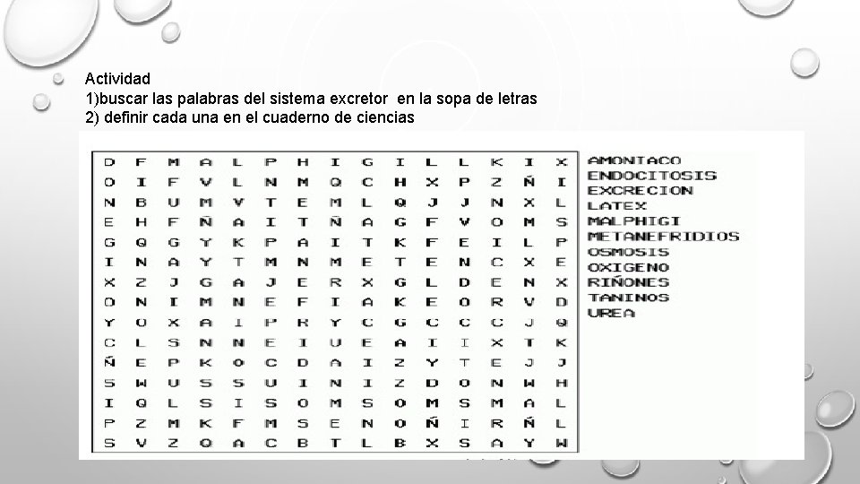 Actividad 1)buscar las palabras del sistema excretor en la sopa de letras 2) definir