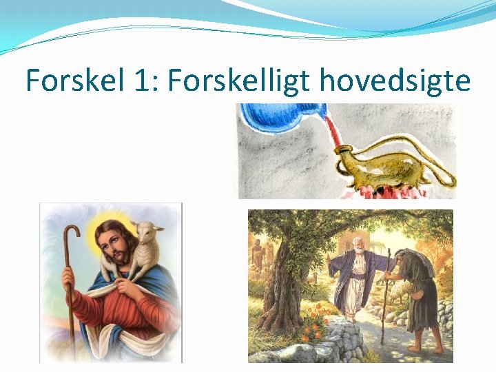 Forskel 1: Forskelligt hovedsigte 