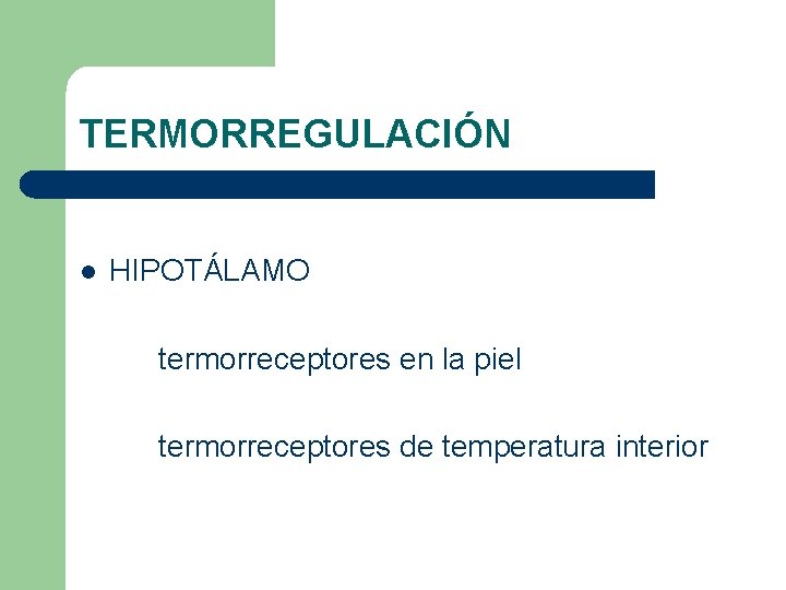 TERMORREGULACIÓN l HIPOTÁLAMO termorreceptores en la piel termorreceptores de temperatura interior TERMORREGULACIÓN l HIPOTÁLAMO termorreceptores en la piel termorreceptores de temperatura interior