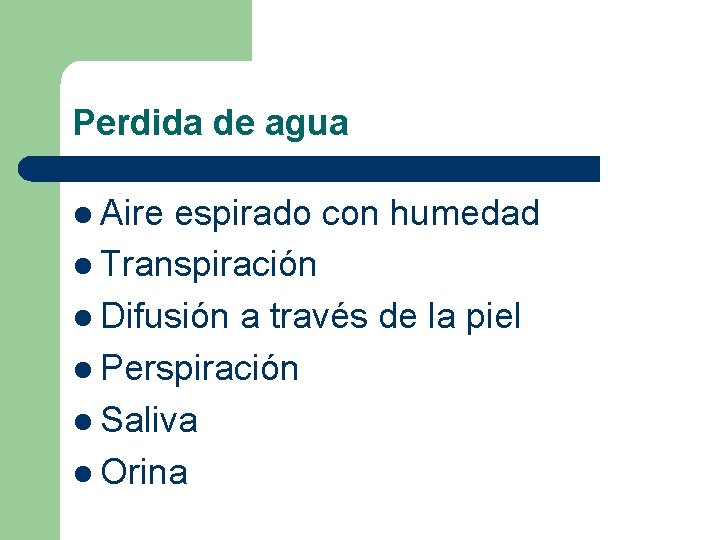 Perdida de agua l Aire espirado con humedad l Transpiración l Difusión a través Perdida de agua l Aire espirado con humedad l Transpiración l Difusión a través