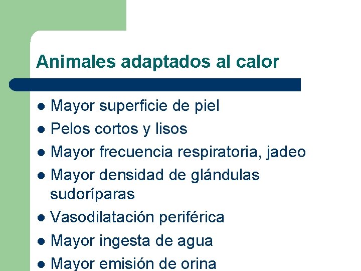 Animales adaptados al calor Mayor superficie de piel l Pelos cortos y lisos l Animales adaptados al calor Mayor superficie de piel l Pelos cortos y lisos l