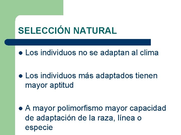 SELECCIÓN NATURAL l Los individuos no se adaptan al clima l Los individuos más SELECCIÓN NATURAL l Los individuos no se adaptan al clima l Los individuos más
