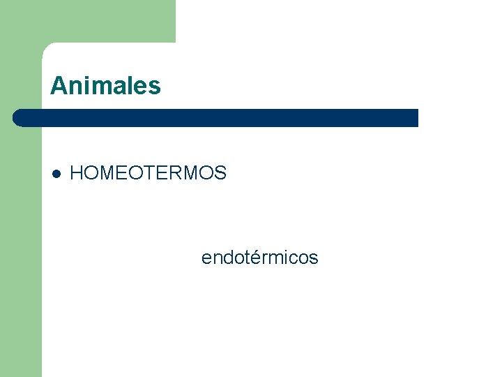 Animales l HOMEOTERMOS endotérmicos Animales l HOMEOTERMOS endotérmicos
