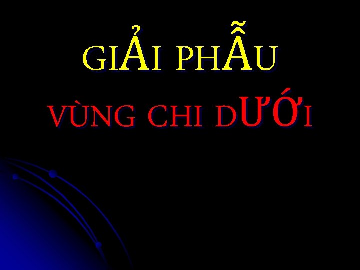 GIẢI PHẪU VÙNG CHI DƯỚI 