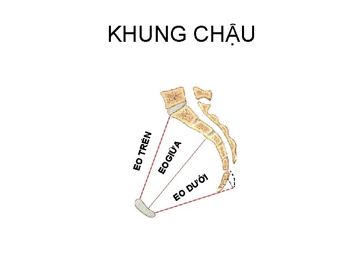 ỮA GI EO EO T RÊN KHUNG CHẬU EO I Ớ DƯ 