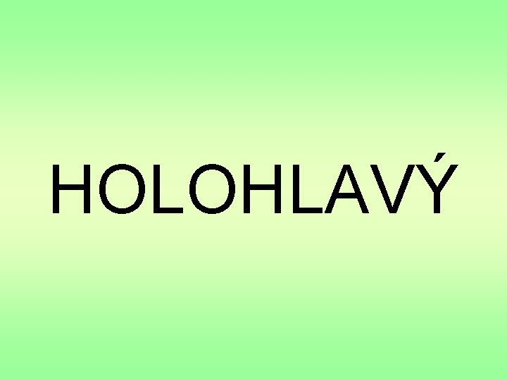 HOLOHLAVÝ 