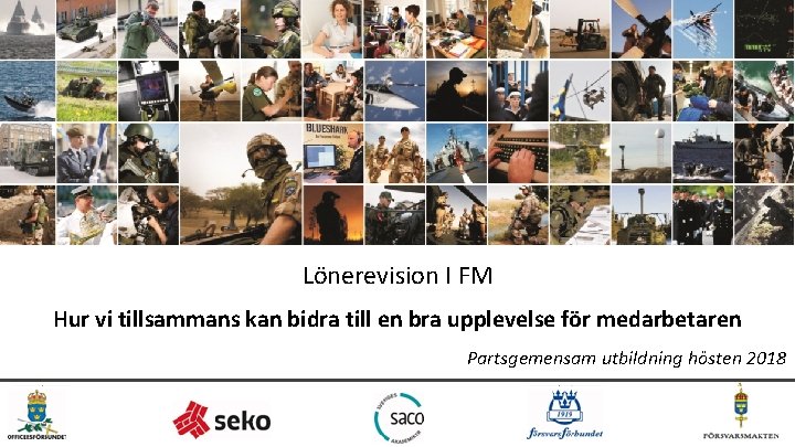 Lönerevision I FM Hur vi tillsammans kan bidra till en bra upplevelse för medarbetaren