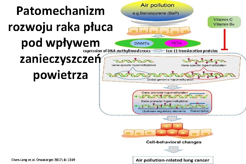 Patomechanizm rozwoju raka płuca pod wpływem zanieczyszczeń powietrza expression of DNA methyltransferases Chen-Lang et