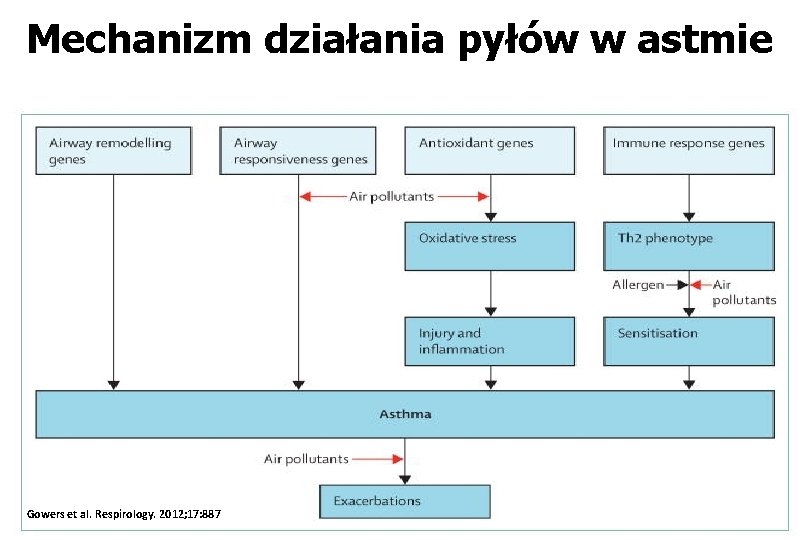 Mechanizm działania pyłów w astmie Gowers et al. Respirology. 2012; 17: 887 