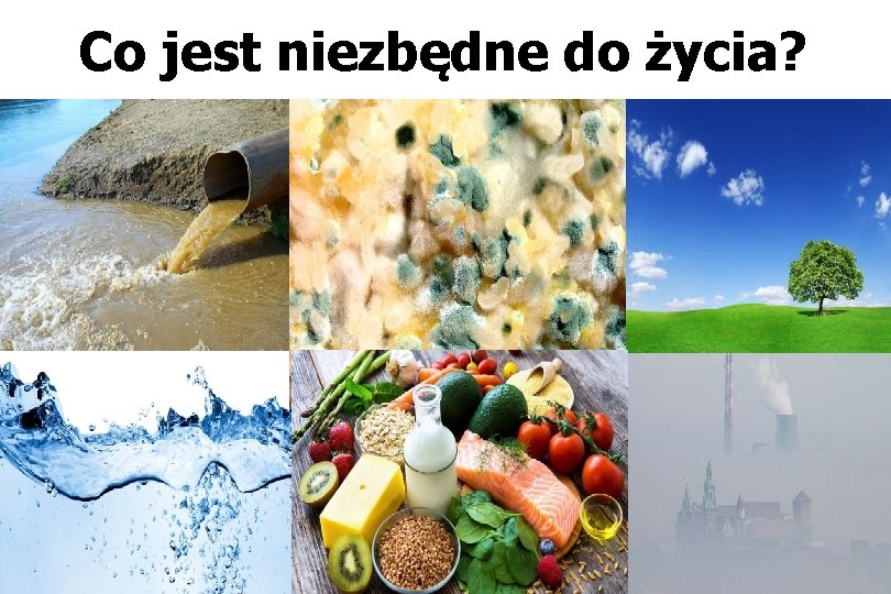 Co jest niezbędne do życia? 1170 × 513 Obrazy mogą być objęte prawami autorskimi