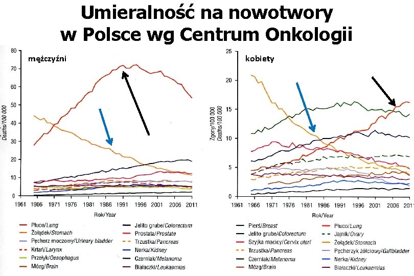 Umieralność na nowotwory w Polsce wg Centrum Onkologii mężczyźni kobiety 